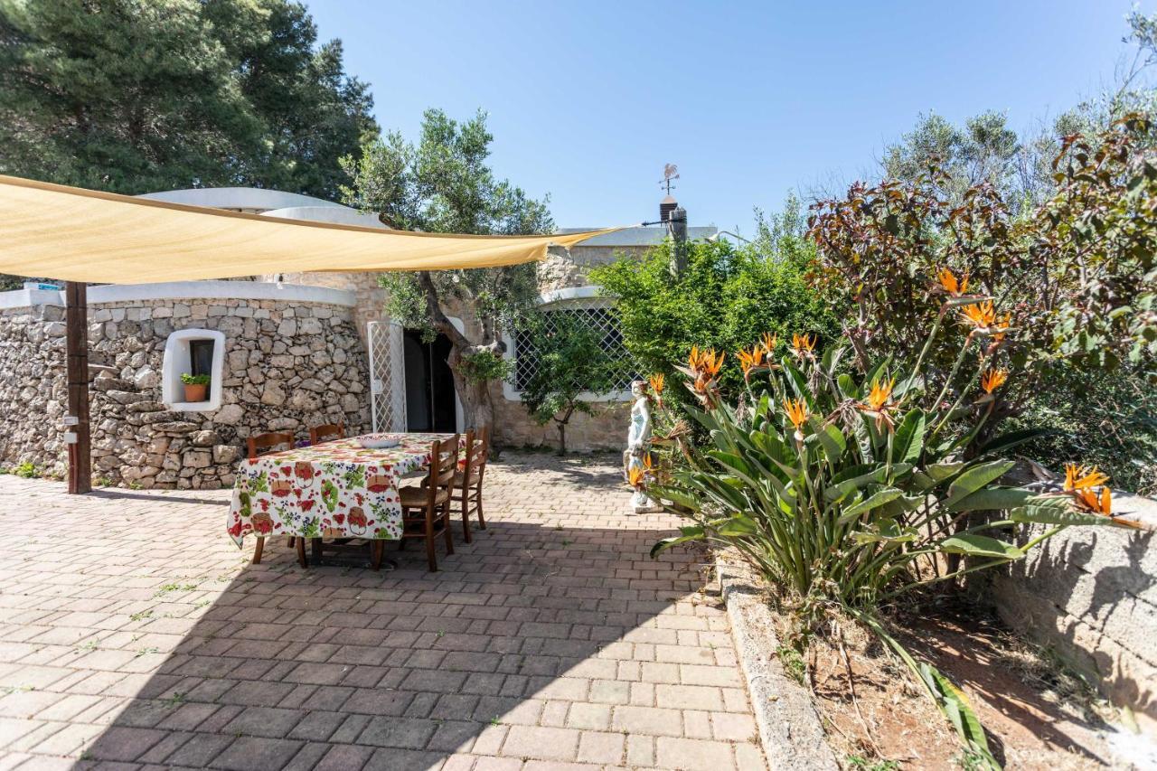 Apartment Antonietta